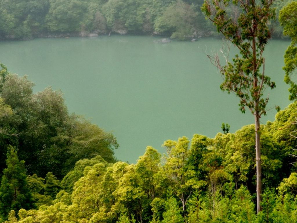 1750094131areas_protegidas_Lagoa_do_Congro.jpg