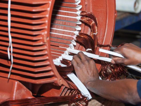 borgesbobinagenscorrocel2