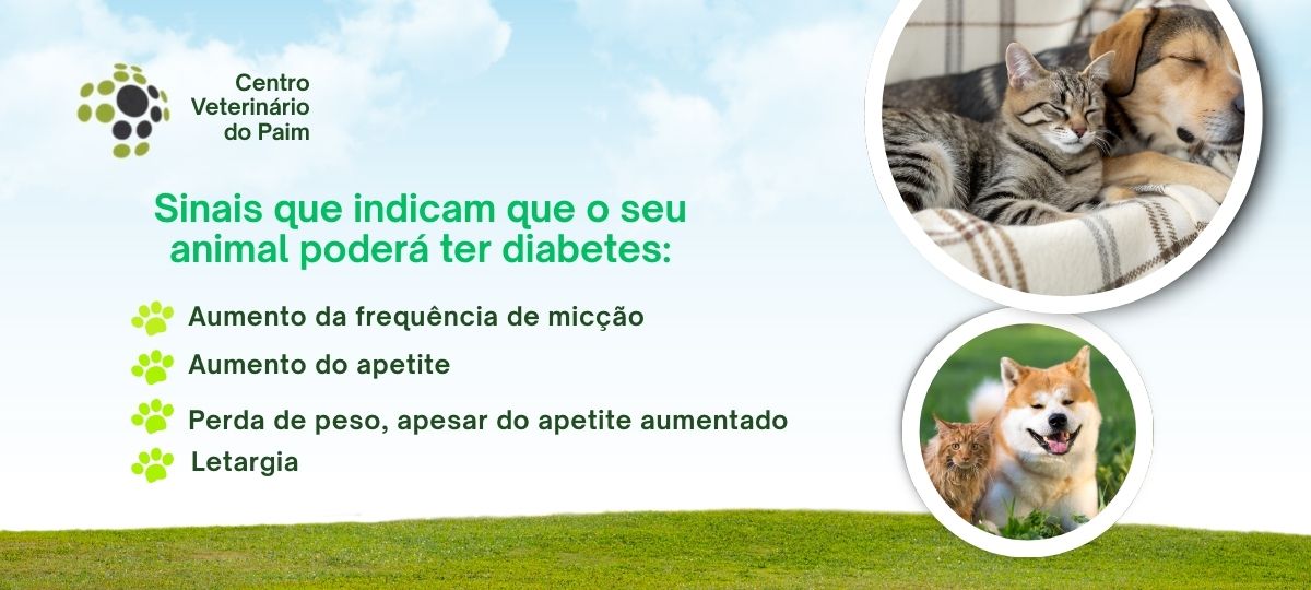 clinicavetpaim